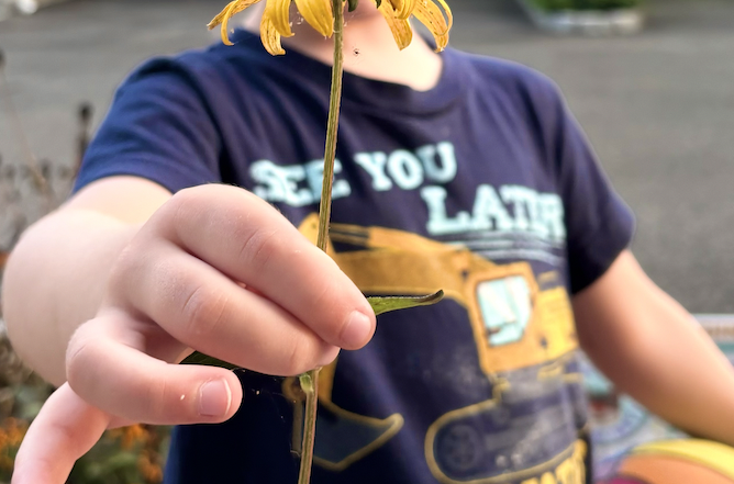 kid with sunflower, holding flower for mom, sweet moments