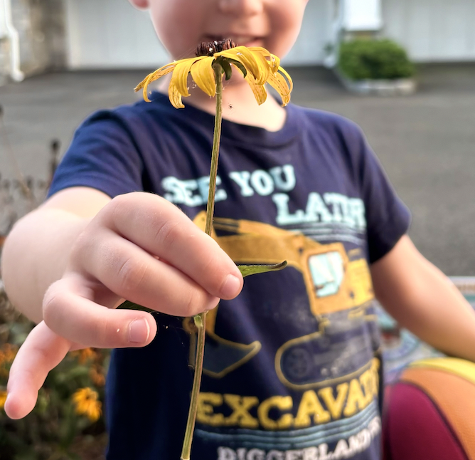 kid with sunflower, holding flower for mom, sweet moments